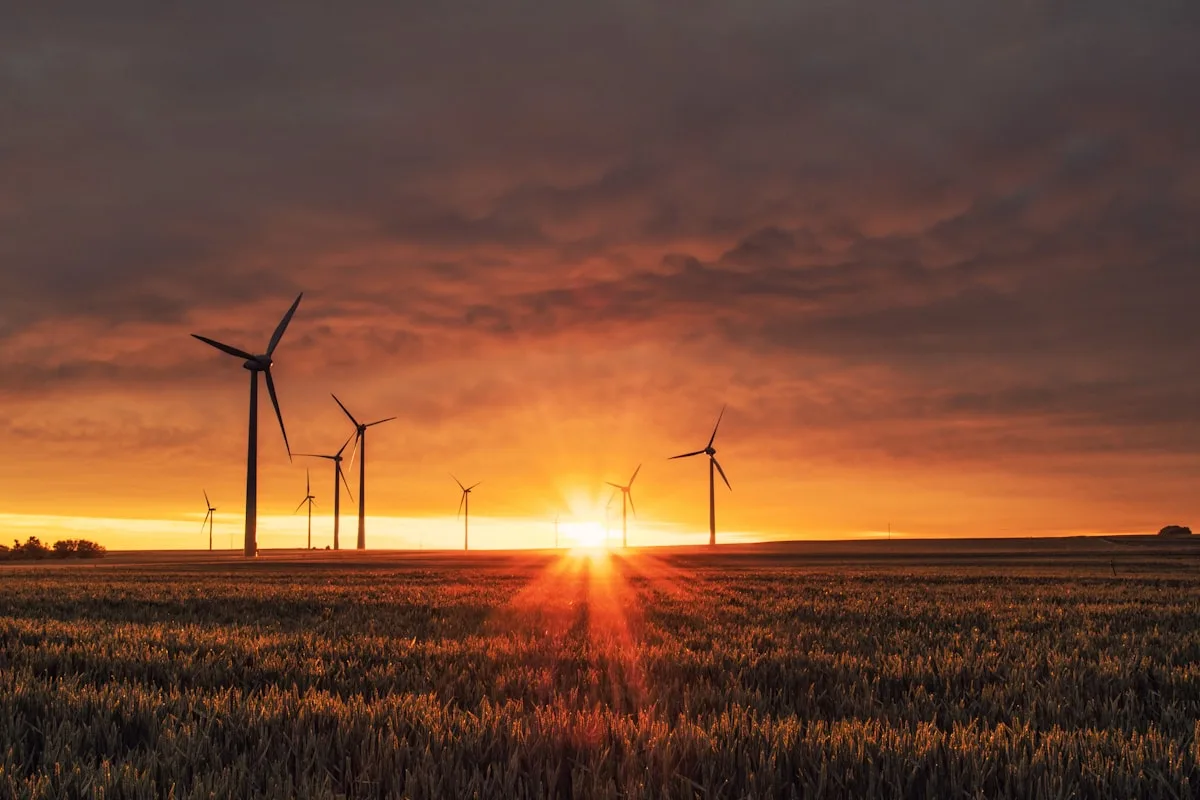 Pekerja menjalankan kegiatan ekonomi hijau pada sektor energi dan pengelolaan lingkungan