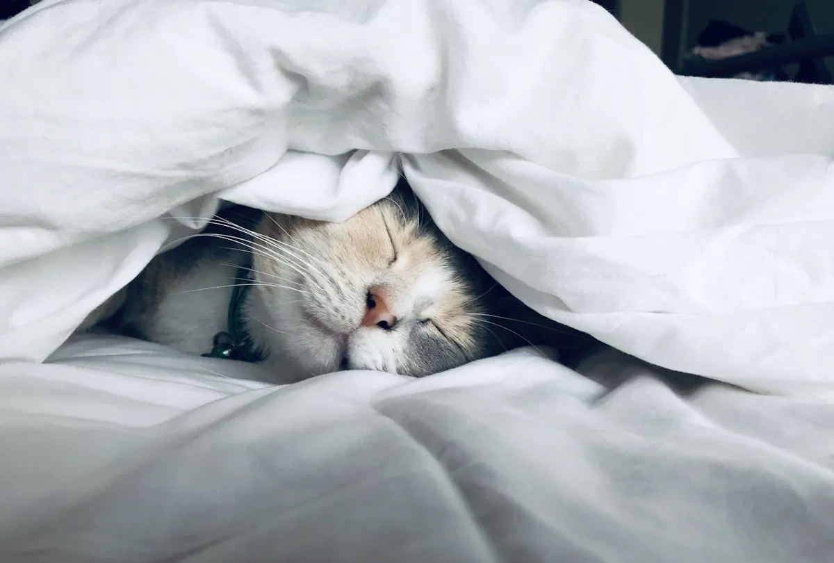 Pekerja beristirahat dengan jadwal tidur teratur sebelum menjalankan aktivitas