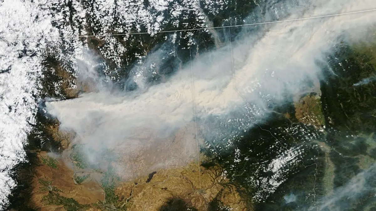 Citra satelit Terra NASA memperlihatkan asap kebakaran hutan menyebar dari Washington ke Idaho, Montana, dan Kanada pada 2 Agustus 2026